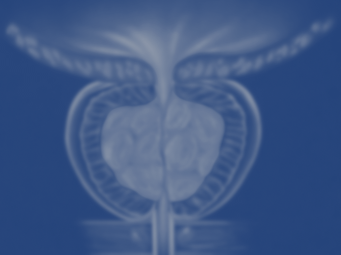 cirurgia de prostata