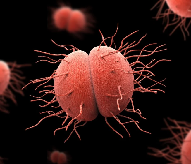 como tratar gonorreia