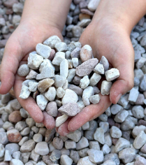 o que causa pedra no rim